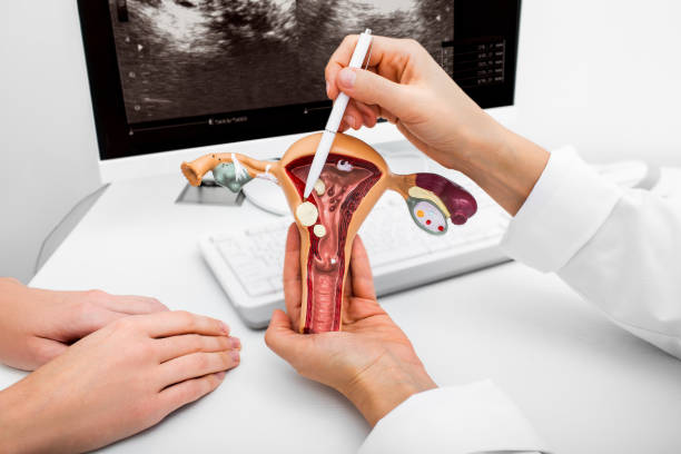 best gynaecologist doctor in vashi